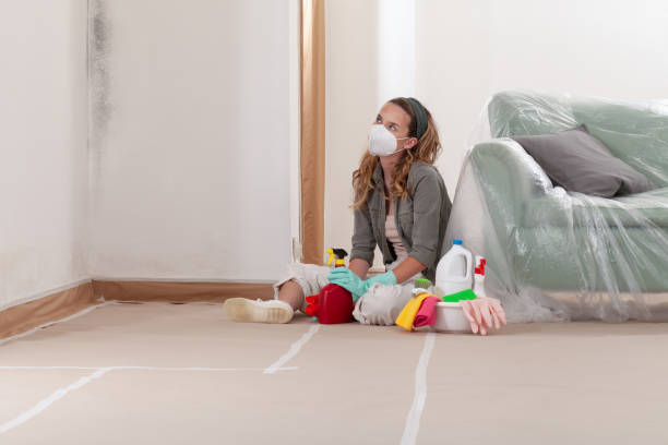 Reliable Basement Mold Removal contractor in Easton, MD by WQB Mold Removal